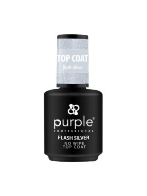 FLASH SILVER NO WIPE E TOP COAT 15ML P206