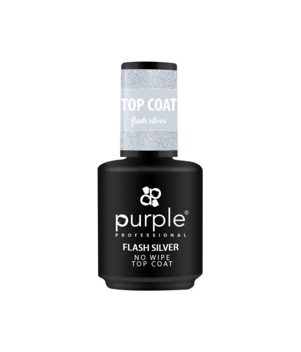 FLASH SILVER NO WIPE E TOP COAT 15ML P206